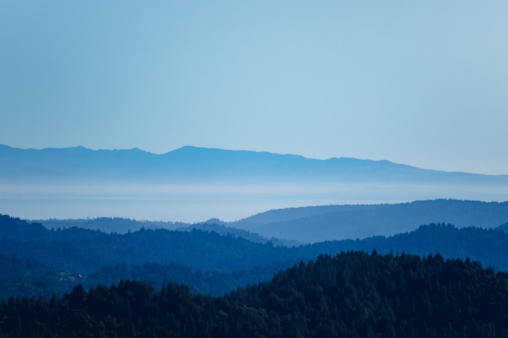 Photo gratuit arbres verts sur la montagne sous un ciel blanc pendant la journée