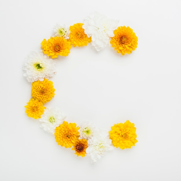 Arc de fleurs blanches et jaunes sur fond blanc