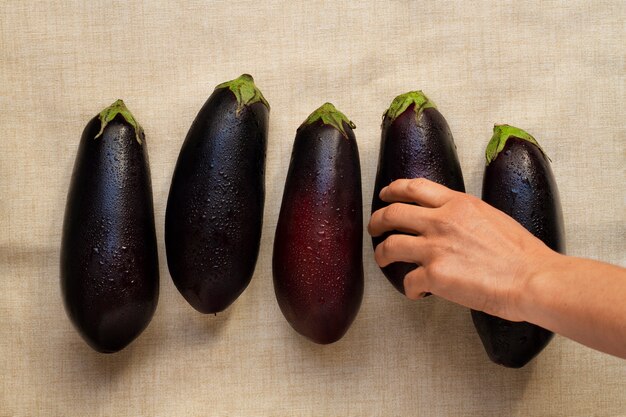 Arrangement d'aubergines vue de dessus