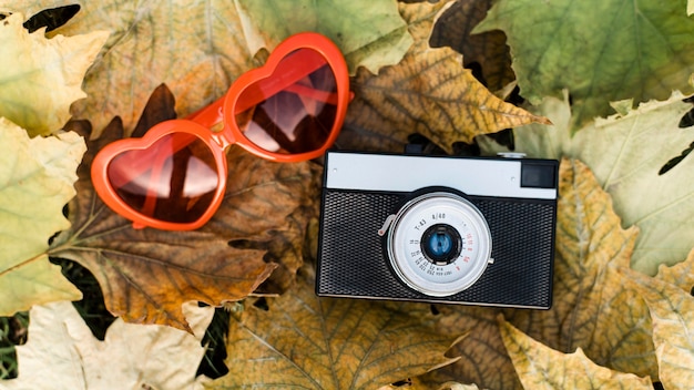 Arrangement d'automne avec appareil photo et lunettes en forme de coeur