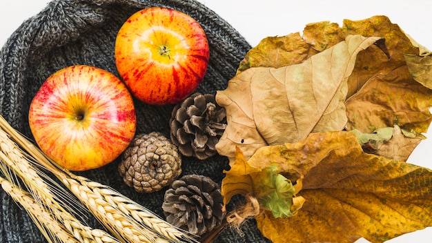 Photo gratuite arrangement d'automne avec bonnet et feuilles séchées