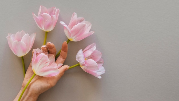 Arrangement de belles fleurs épanouies