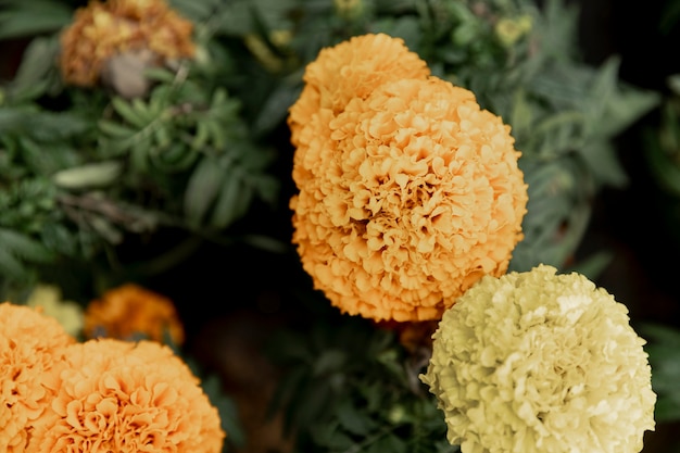 Arrangement avec de belles fleurs jaunes