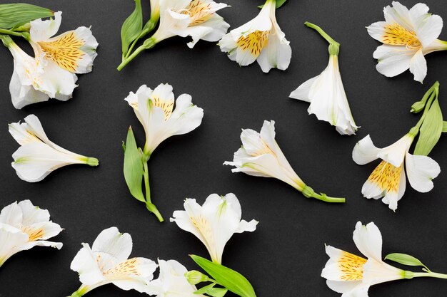 Arrangement de bouquets d'alstroemeria blanc plat