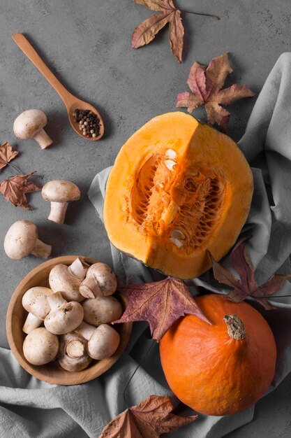 Arrangement de champignons frais au-dessus de la vue