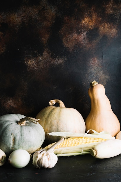 Arrangement de citrouille et de courge musquée avec espace de copie