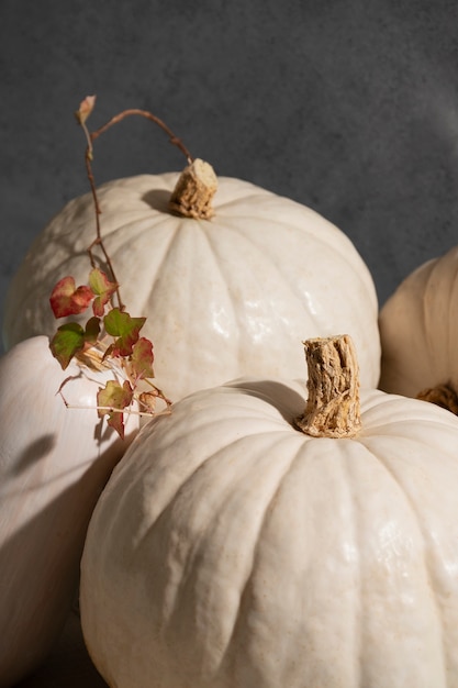 Arrangement de citrouilles blanches grand angle