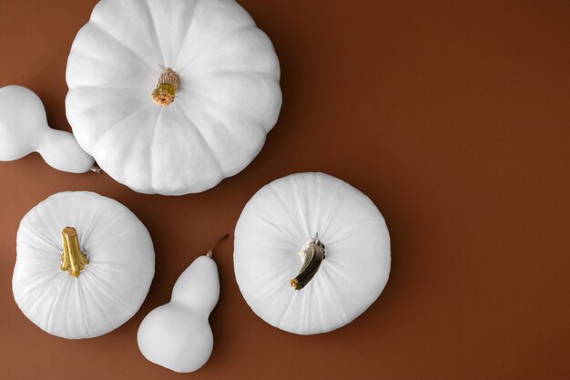 Photo gratuite arrangement de citrouilles blanches à plat