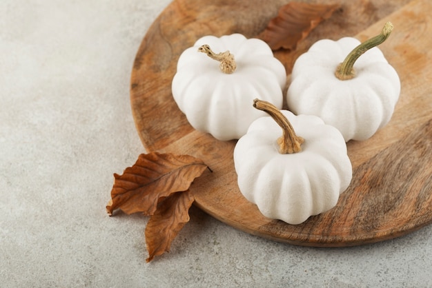 Arrangement de citrouilles et de feuilles blanches à angle élevé