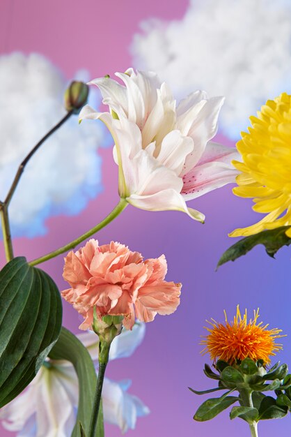 Arrangement de concept de fleurs dans le ciel