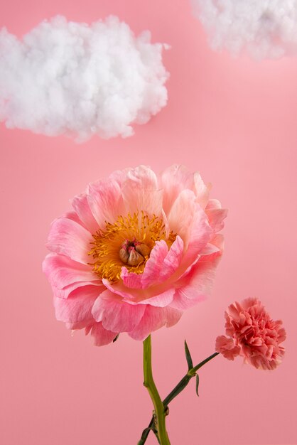 Arrangement de concept de fleurs dans le ciel