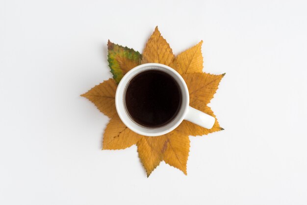 Arrangement avec coupe et feuilles d&#39;automne