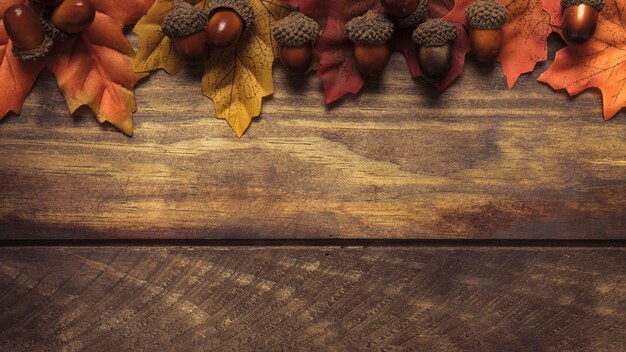 Arrangement de feuilles et glands d&#39;automne exquis