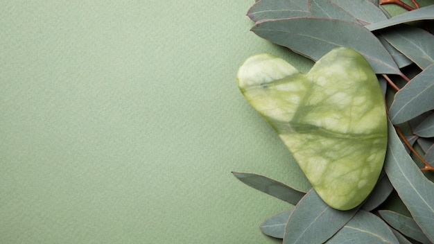 Arrangement de feuilles et de gua sha à plat