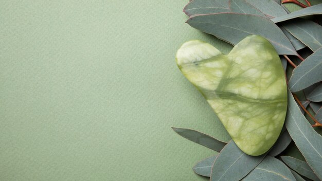 Arrangement de feuilles et de gua sha à plat