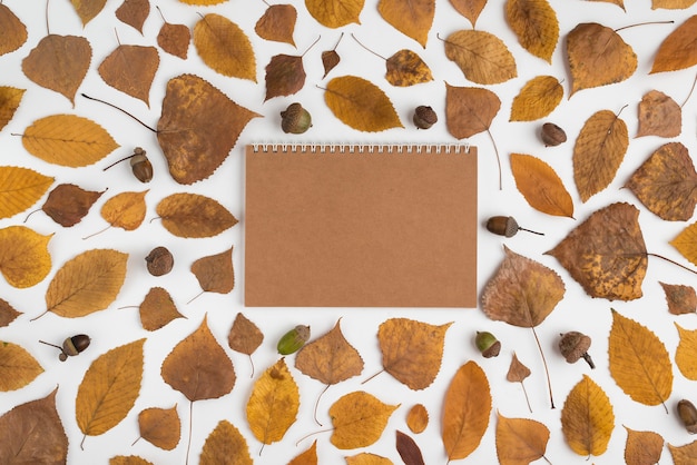 Photo gratuite arrangement avec feuilles séchées et cahier d'artisanat