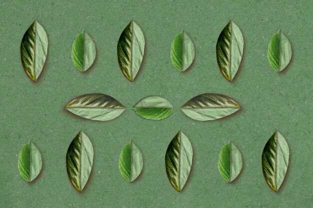 Photo gratuite arrangement de feuilles vertes à plat