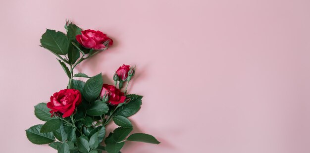 Arrangement floral avec un bouquet de roses rouges fraîches copiez l'espace.