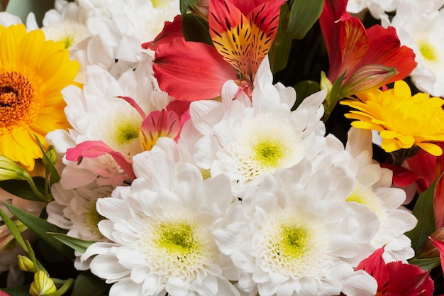 Arrangement de fond de belles fleurs