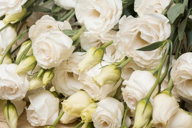 Arrangement de fond de belles fleurs