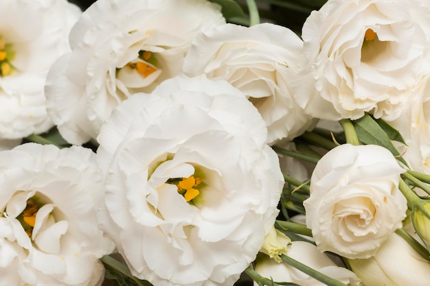 Arrangement de fond de belles fleurs