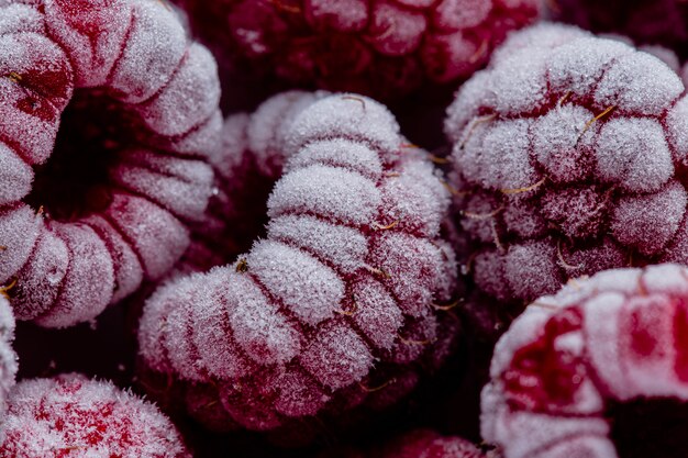 Arrangement de fruits surgelés macro