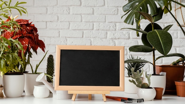 Arrangement de jardin à la maison avec tableau noir