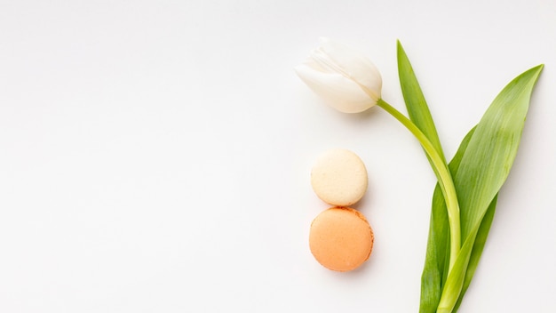 Photo gratuite arrangement de la journée des femmes à plat avec tulipe blanche et espace de copie