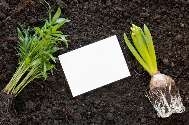 Arrangement de la journée mondiale de l'environnement au sol avec carte vide