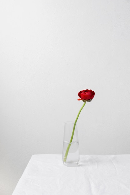 Arrangement de nature morte de fleur intérieure dans un vase