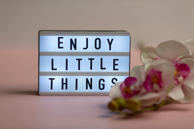 Arrangement de nature morte Lightbox