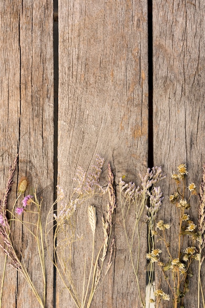 Arrangement de plantes séchées sur fond en bois avec espace copie