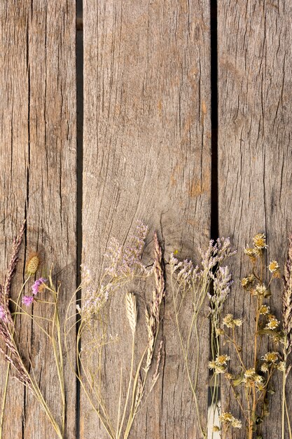 Arrangement de plantes séchées sur fond en bois avec espace copie