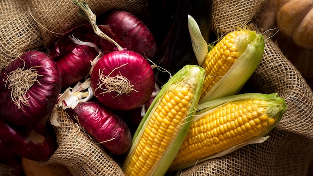 Photo gratuite arrangement plat de délicieux légumes d'automne