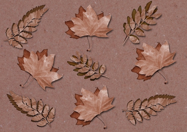 Arrangement plat de feuilles d'automne