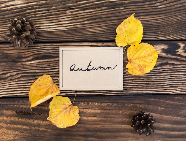 Photo gratuite arrangement à plat avec feuilles et pommes de pin