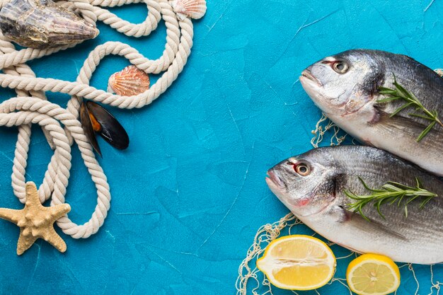 Arrangement de poisson avec vue de dessus de corde