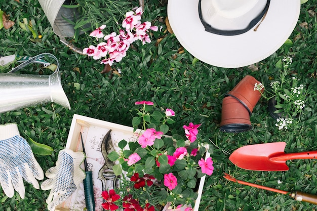 Arrangement de pots de fleurs avec des instruments de jardinage