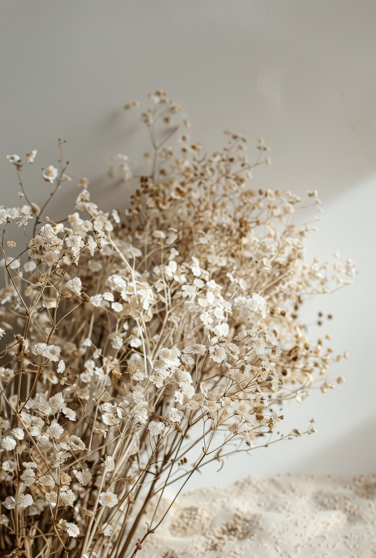 Photo gratuit un arrangement de rêve décoratif avec des fleurs séchées