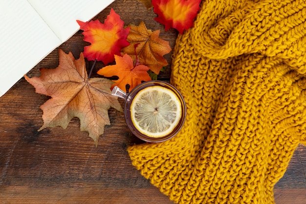 Photo gratuite arrangement de la saison d'automne vue de dessus sur une table en bois