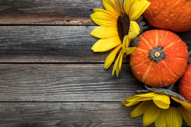 Arrangement de vue de dessus avec des tournesols et des citrouilles