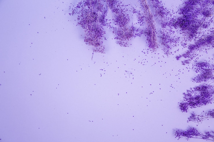 Photo gratuit arrière-plan décoré de fleurs violettes
