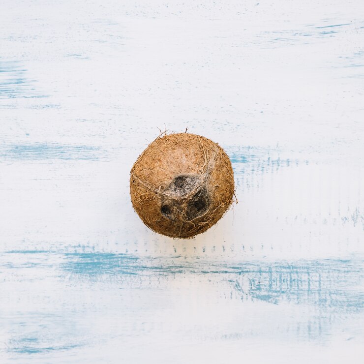 Photo gratuit arrière-plan d'été avec de la noix de coco