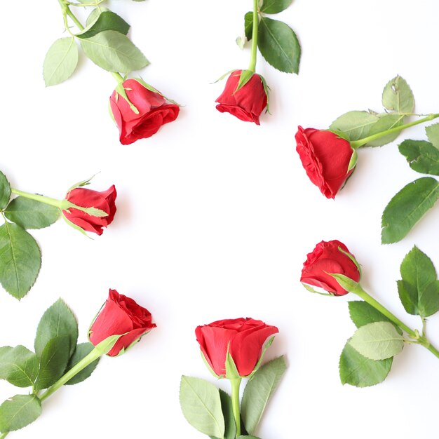 Arrière-plan floral polyvalent Rose rouge élégant