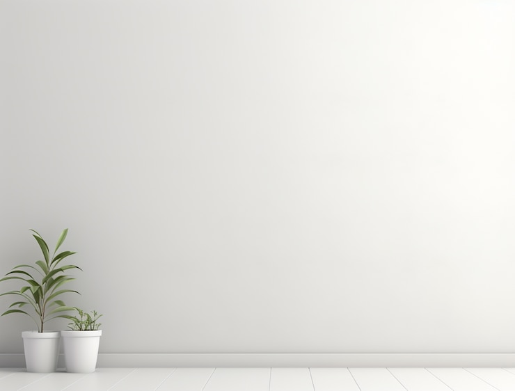 Photo gratuit arrière-plan avec des murs blancs et une plante