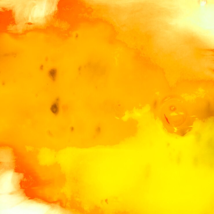 Photo gratuit arrière-plan de peinture à l'aquarelle pour le festival de holi