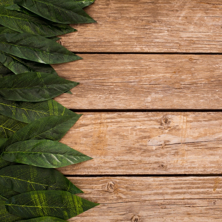 Photo gratuit arrière-plan de planches de bois avec des feuilles de bordure et un espace de copie