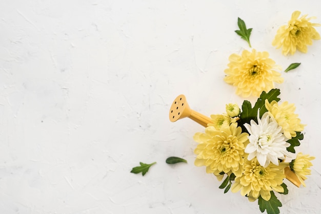 Photo gratuite arrosoir et bouquet de fleurs printanières jaunes