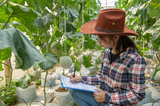 Assistante scientifique, agente d&#39;agriculture. dans le melon de recherche de ferme de serre