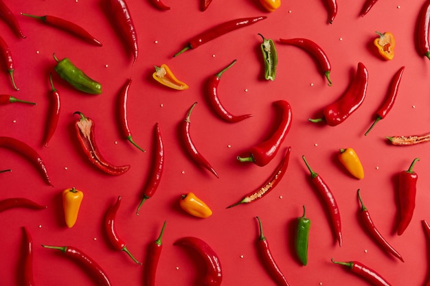 Assortiment de divers piments colorés sur fond rouge. Ingrédient extrêmement chaud pour assaisonner ou préparer des plats épicés. Légumes mexicains frais et leurs graines pour faire de la sauce ou de la poudre